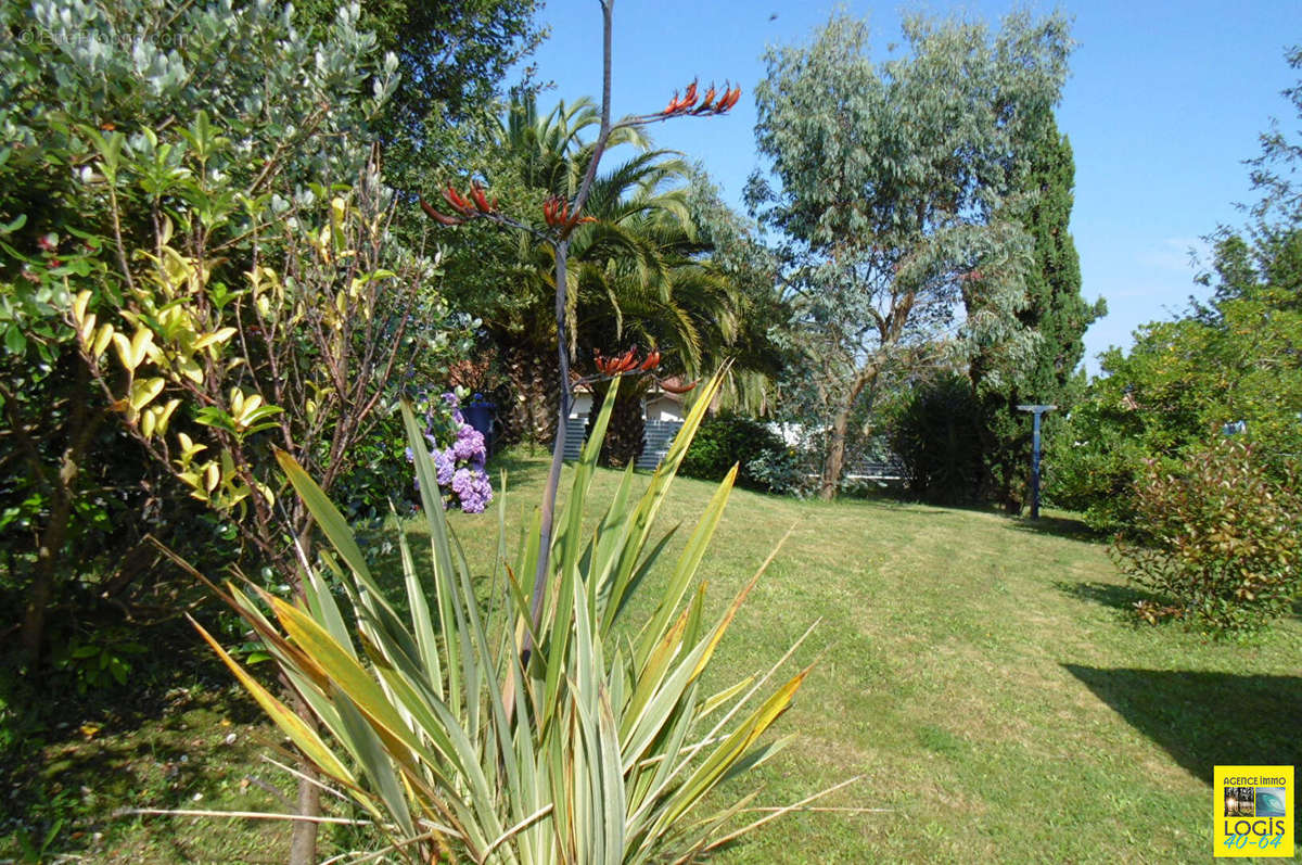 Maison à ONDRES