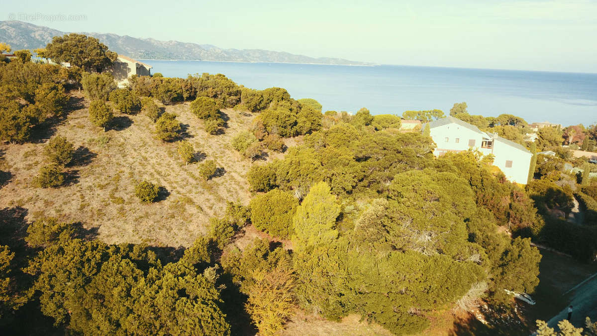 Terrain à SAINT-FLORENT