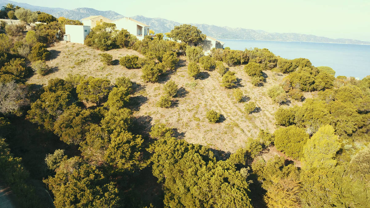 Terrain à SAINT-FLORENT