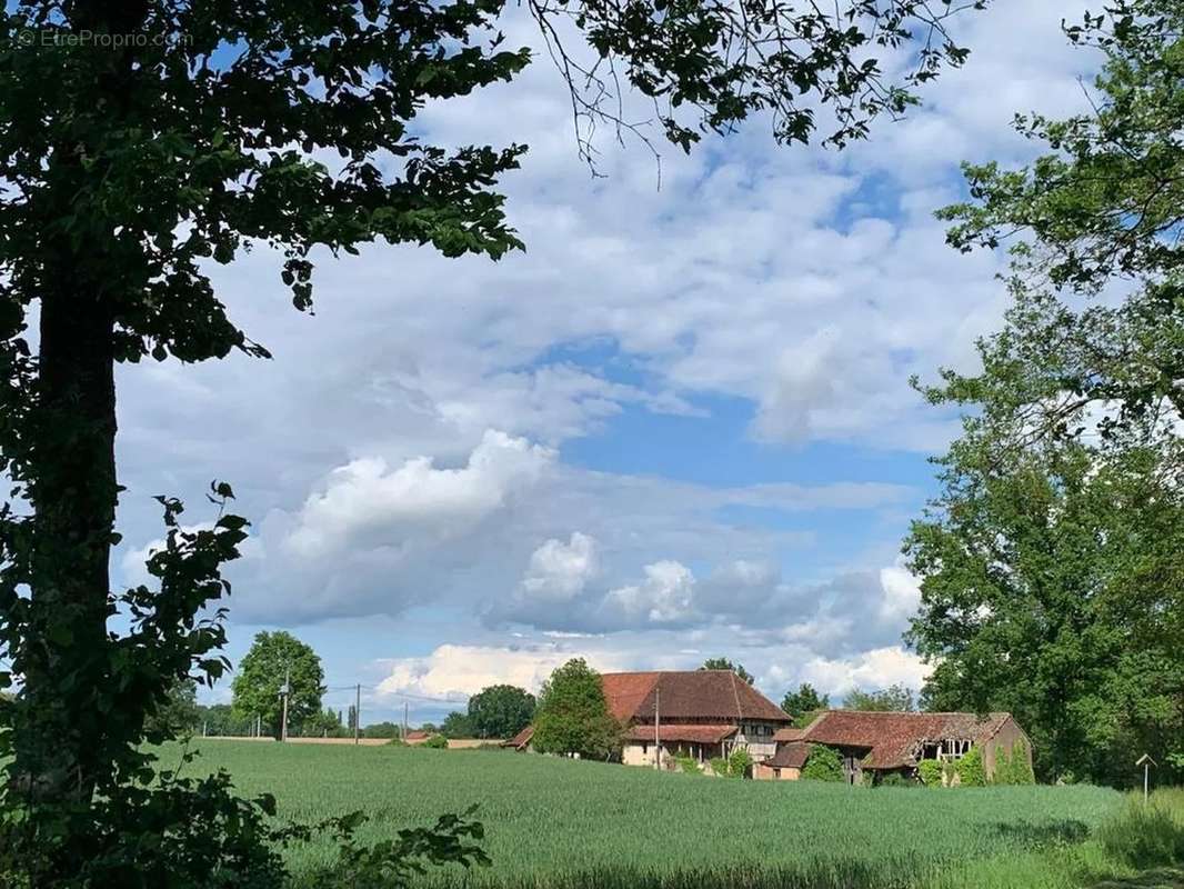 Maison à MONTPONT-EN-BRESSE