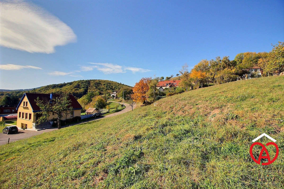 Terrain à BREITENBACH