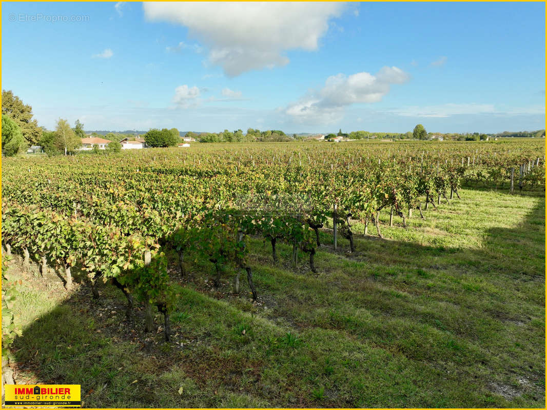 Terrain à PORTETS