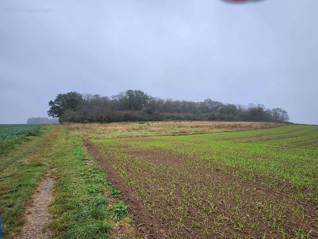 Terrain à HANCHES