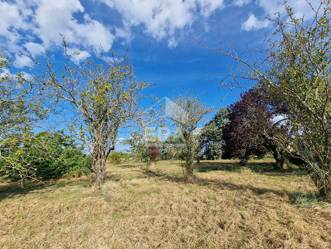 Terrain à ATHEE-SUR-CHER