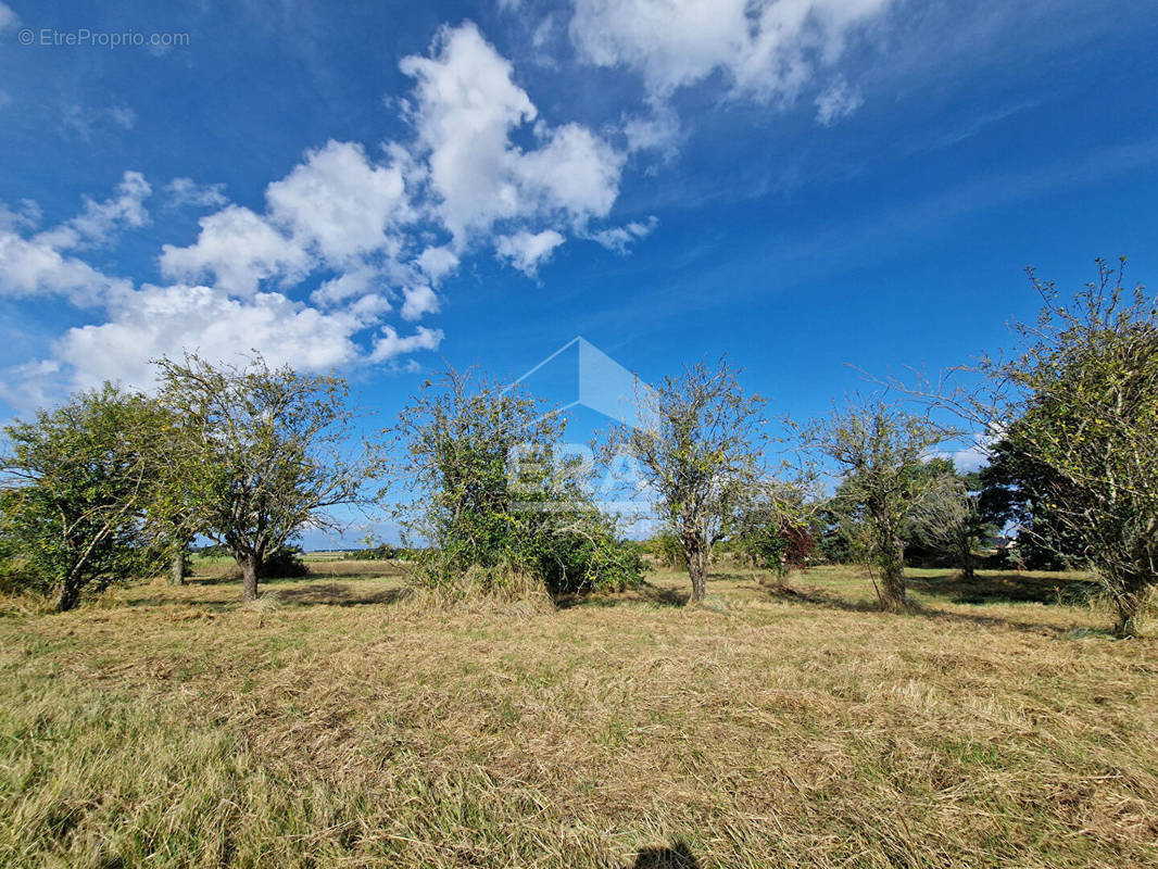 Terrain à ATHEE-SUR-CHER