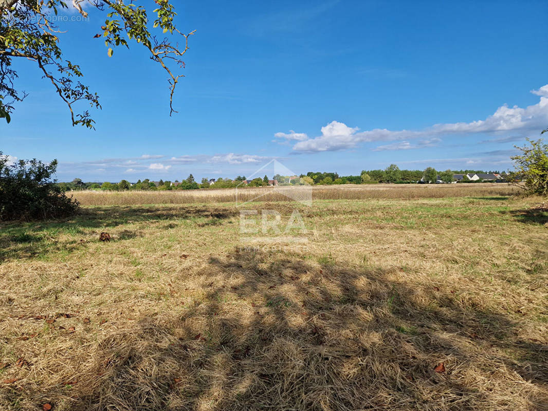 Terrain à ATHEE-SUR-CHER