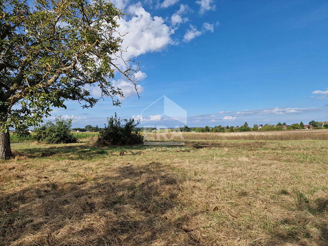 Terrain à ATHEE-SUR-CHER