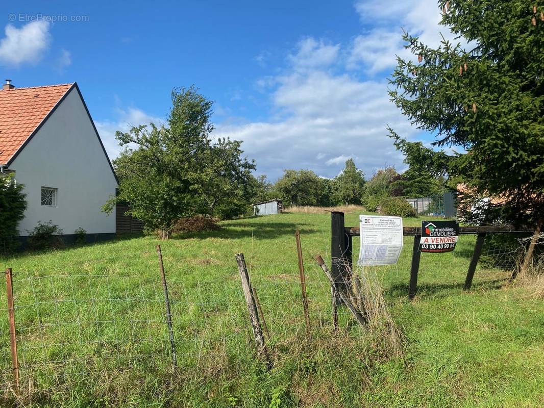 Terrain à NIEDERHASLACH