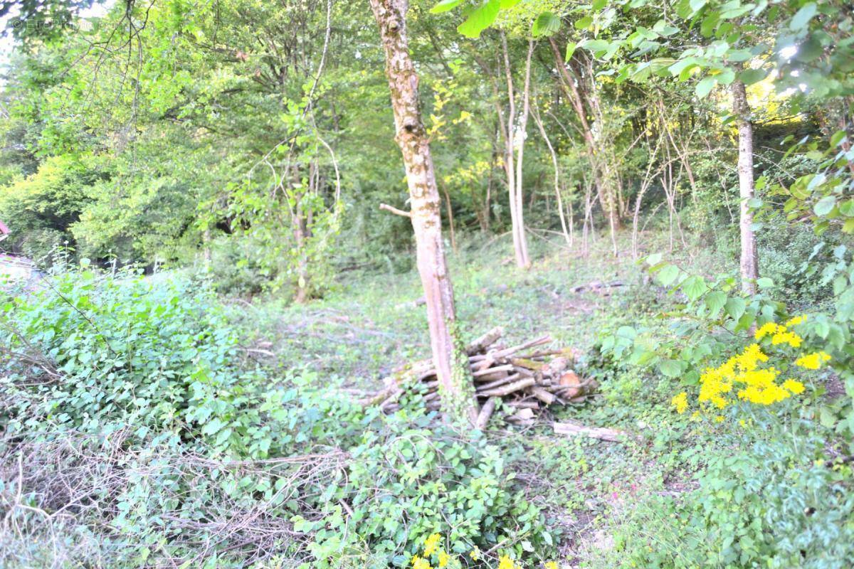 Terrain à PONT-DE-ROIDE