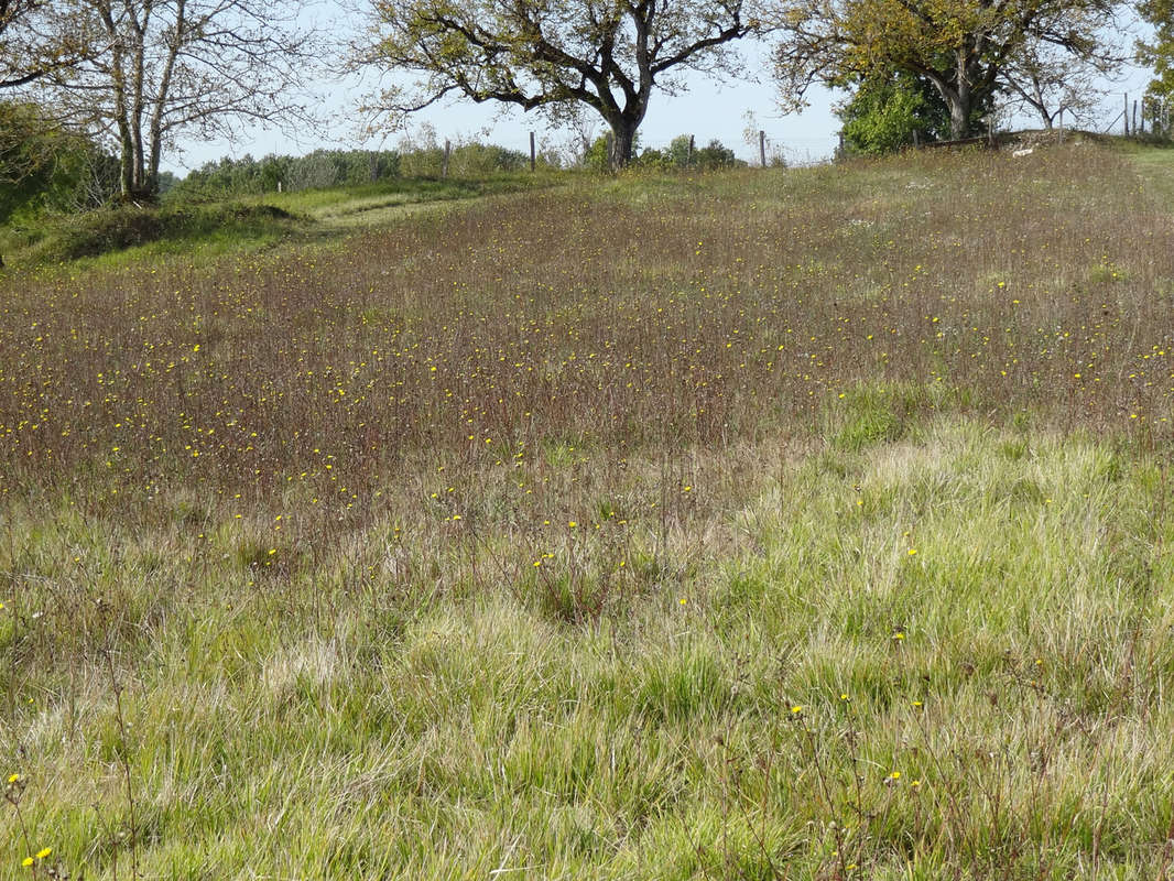 Terrain à PAUSSAC-ET-SAINT-VIVIEN