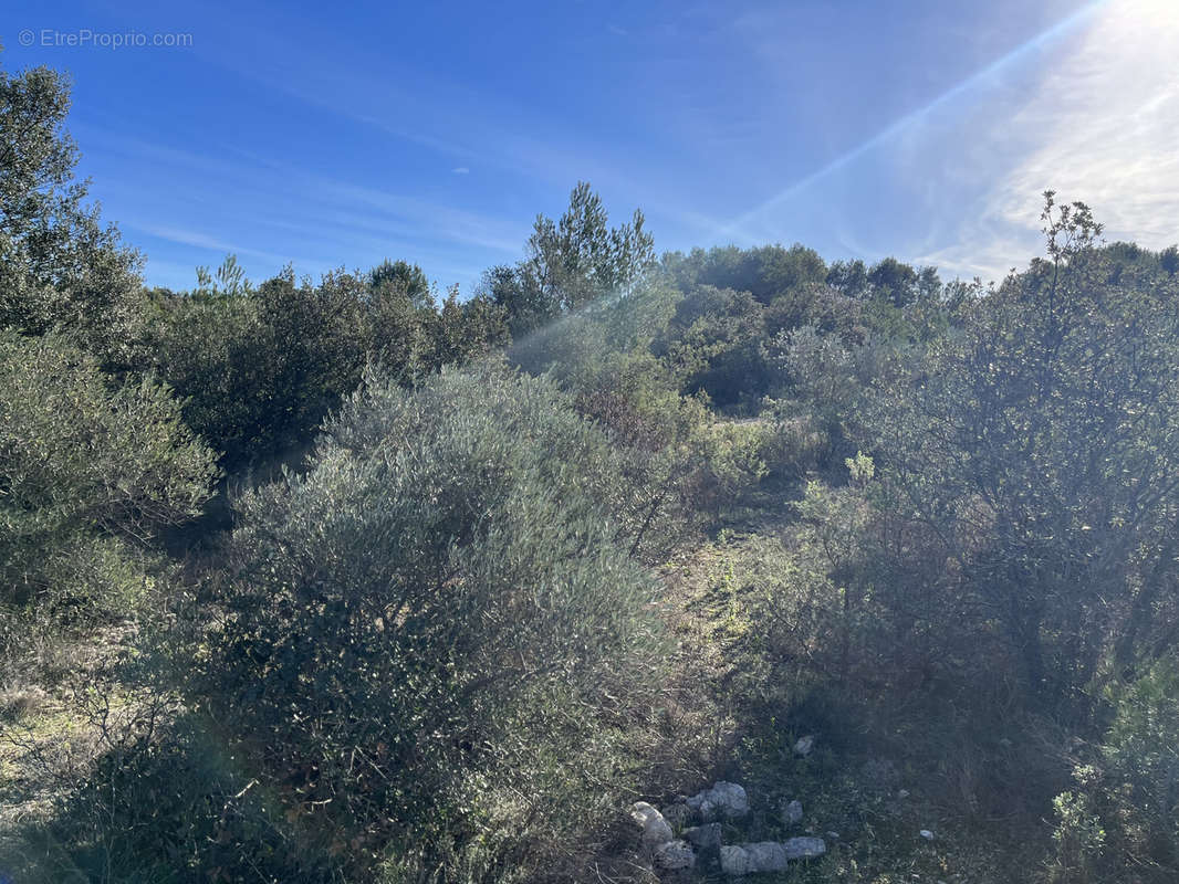 Terrain à UZES