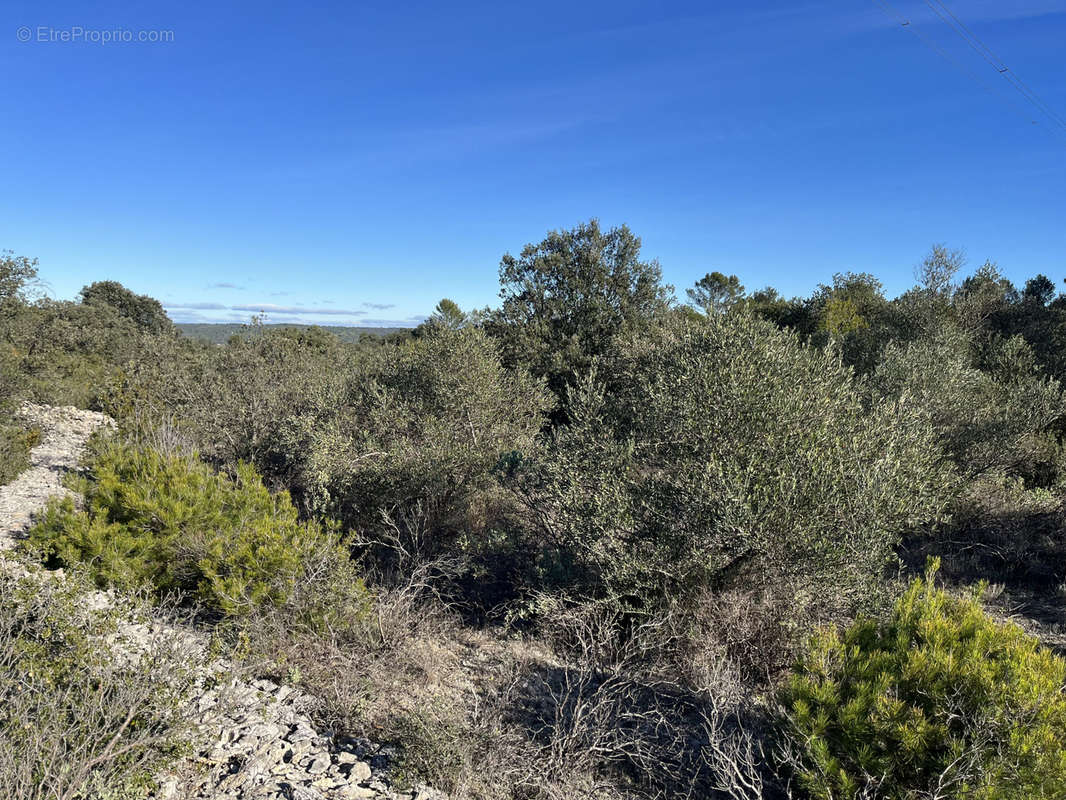 Terrain à UZES