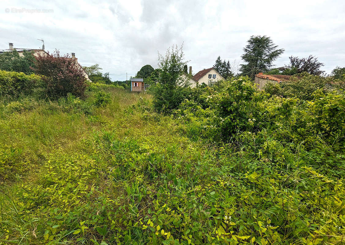 Terrain à MIGNE-AUXANCES