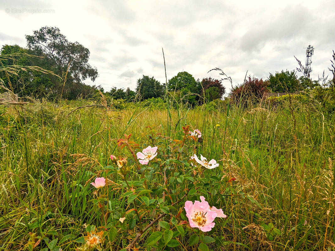 Terrain à MIGNE-AUXANCES