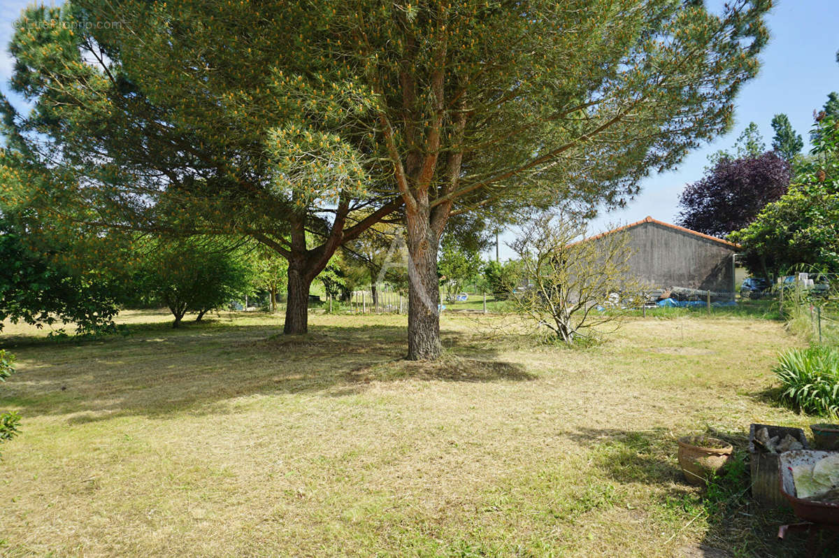 Terrain à MONTAIGUT-SUR-SAVE