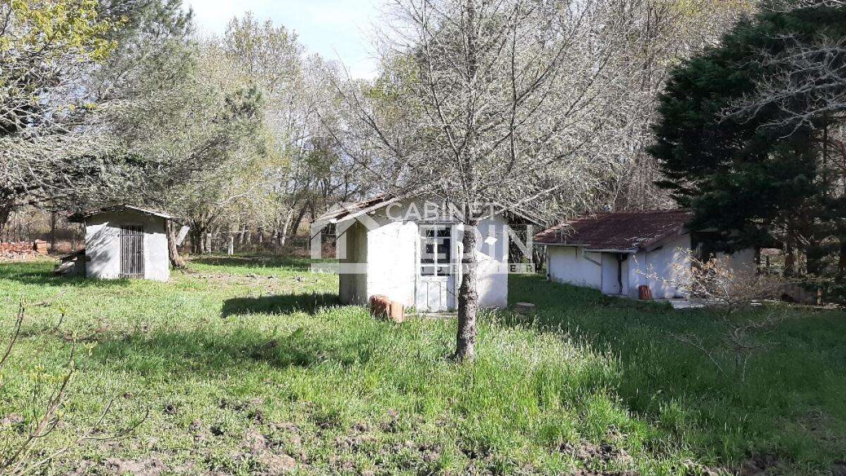 Maison à SAINTE-EULALIE-EN-BORN