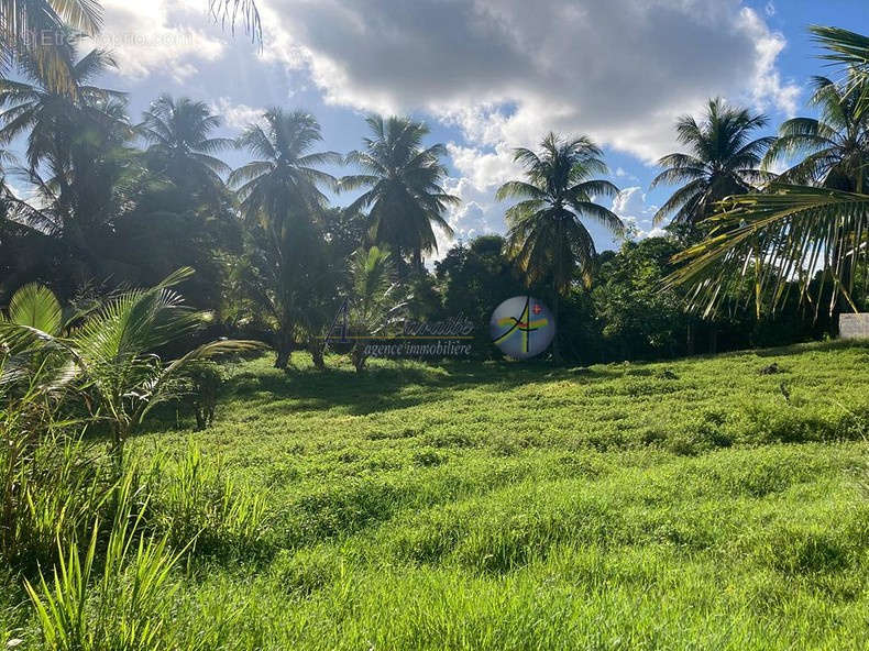 Terrain à MORNE-A-L&#039;EAU