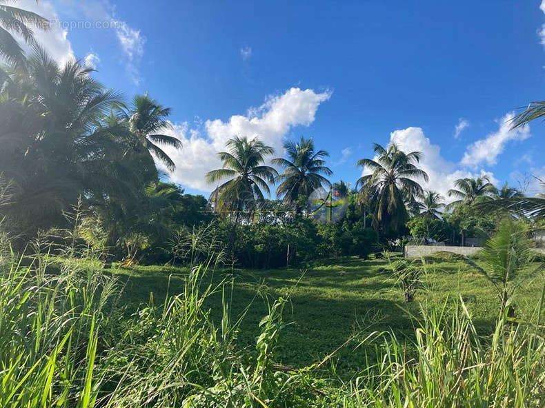 Terrain à MORNE-A-L&#039;EAU