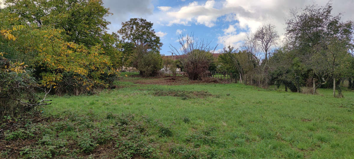 Terrain à VILLEFARGEAU