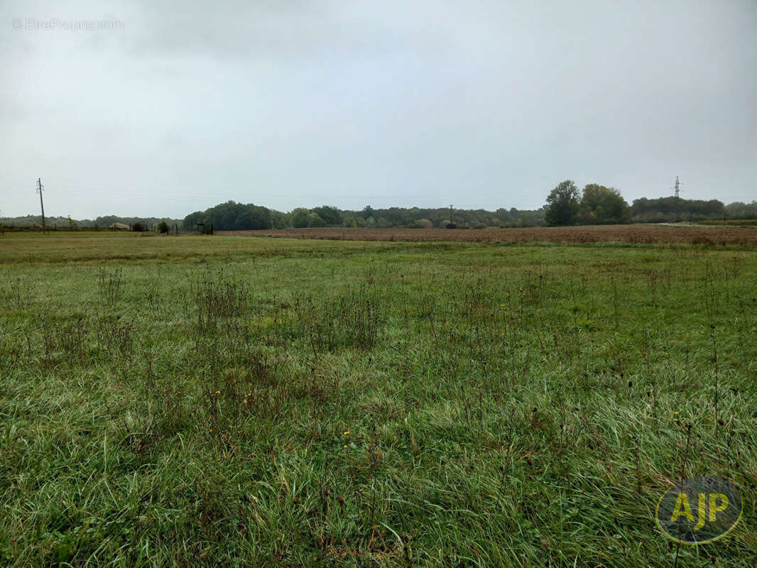 Terrain à SAINT-GERMAIN-D&#039;ESTEUIL