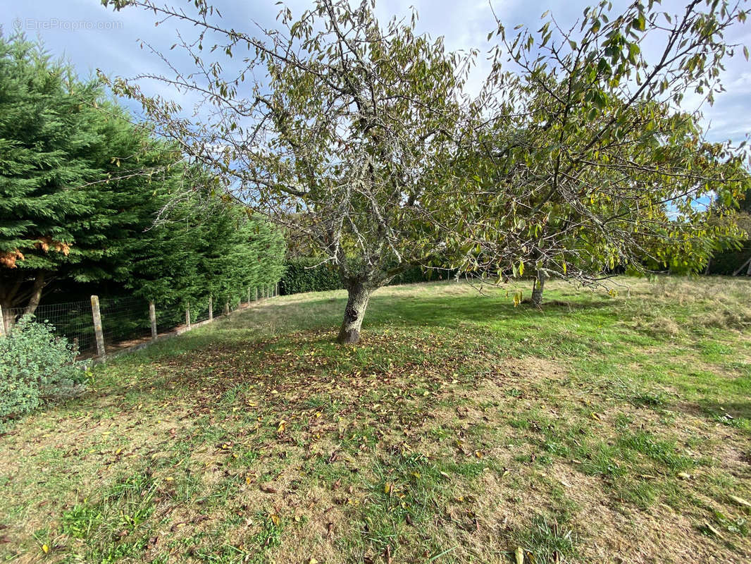 Terrain à BOULAZAC