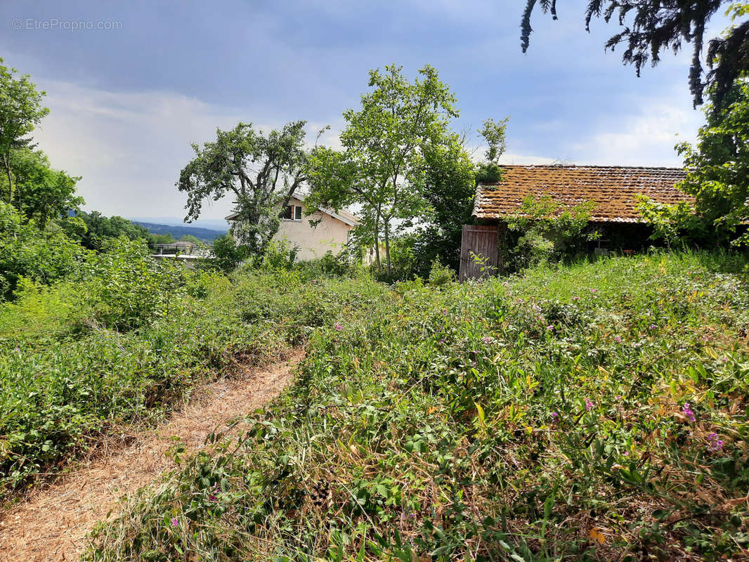 Terrain à THIERS