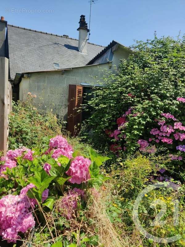 Maison à LA GUERCHE-DE-BRETAGNE