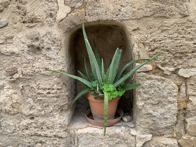 Maison à UZES