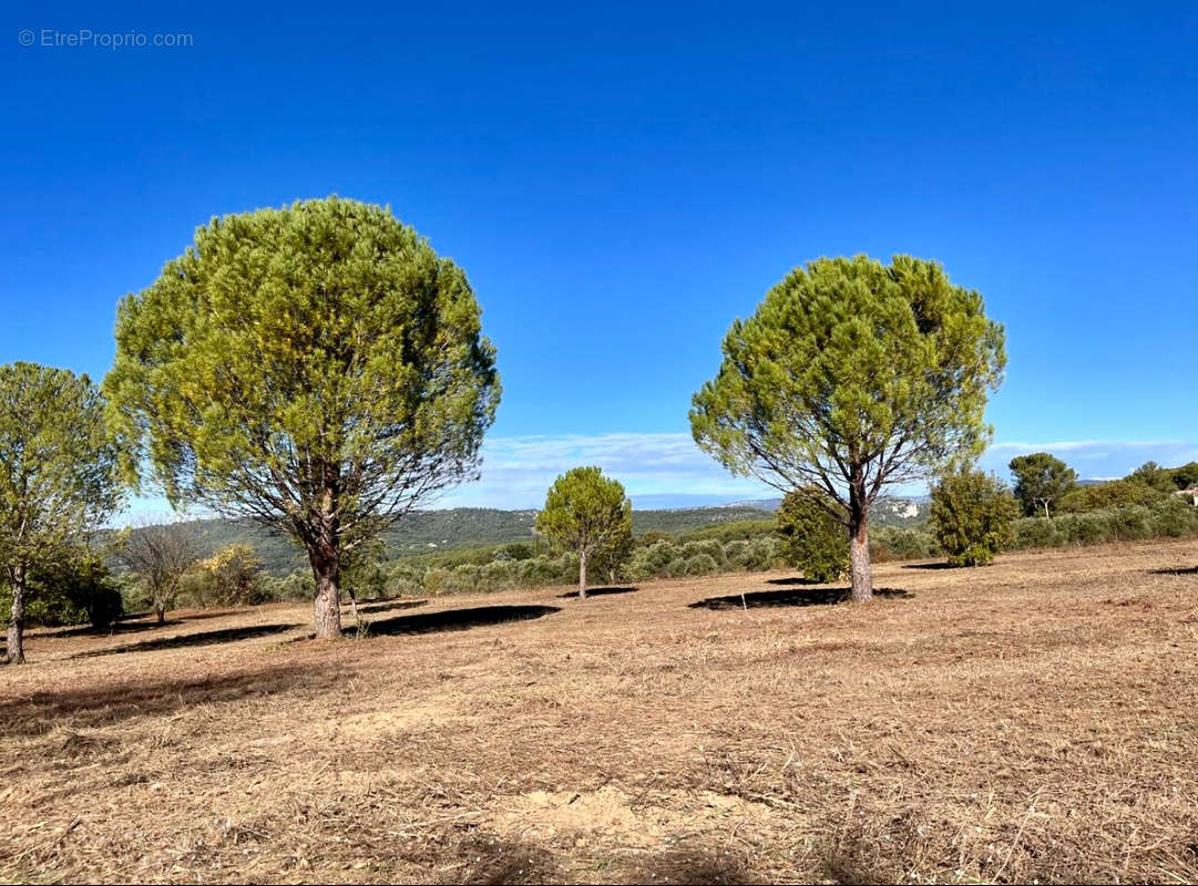 Terrain à ROGNES