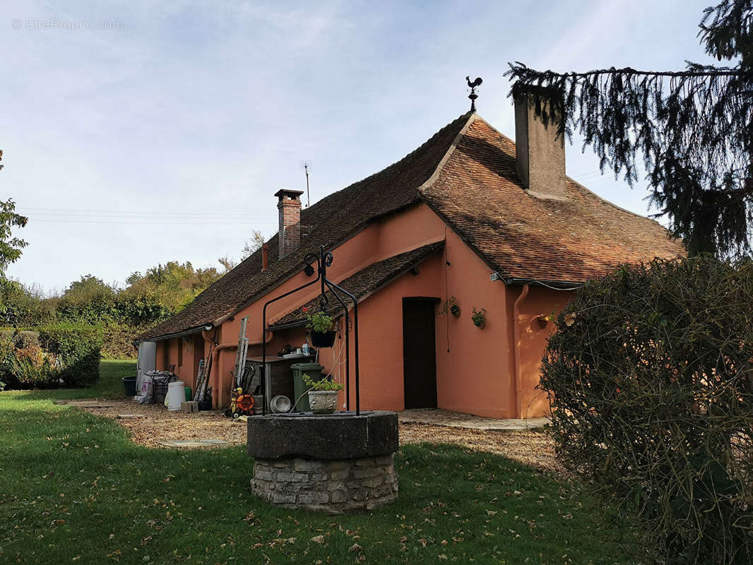 Maison à SAINT-SAUVEUR-EN-PUISAYE