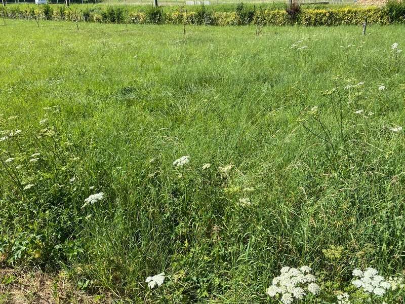 Terrain à SOMMERY