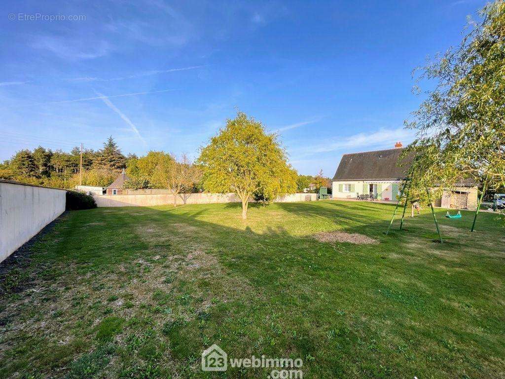 Le terrain se trouve hors lotissement et libre de constructeur. - Terrain à CHALONNES-SUR-LOIRE