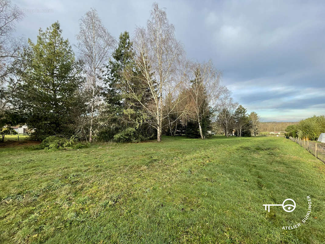 Terrain à MONTRIEUX-EN-SOLOGNE