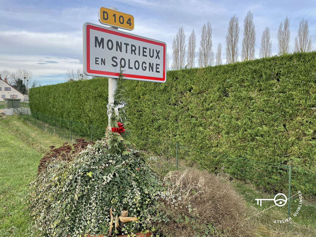 Terrain à MONTRIEUX-EN-SOLOGNE