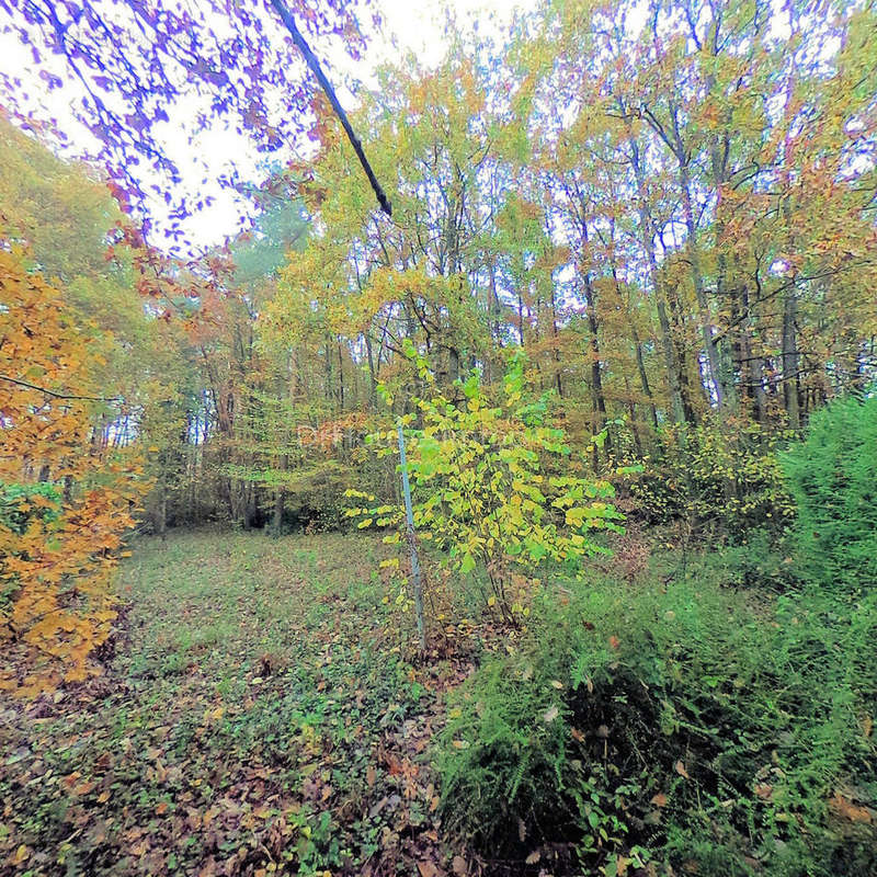 Terrain à CHILLEURS-AUX-BOIS