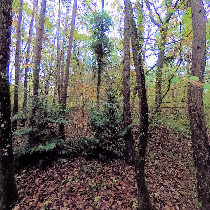 Terrain à CHILLEURS-AUX-BOIS