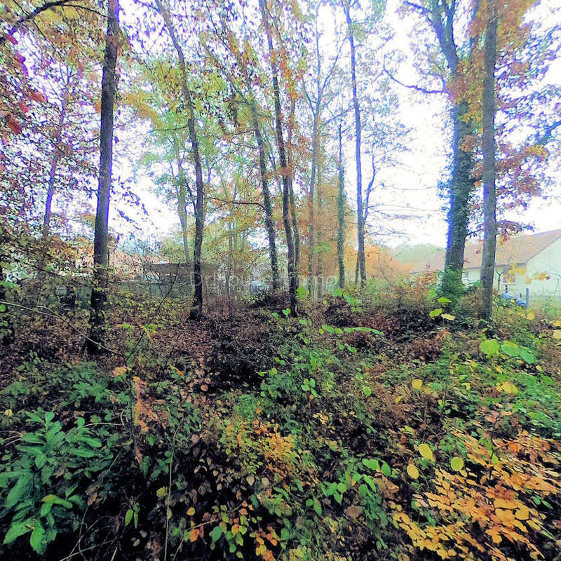 Terrain à CHILLEURS-AUX-BOIS