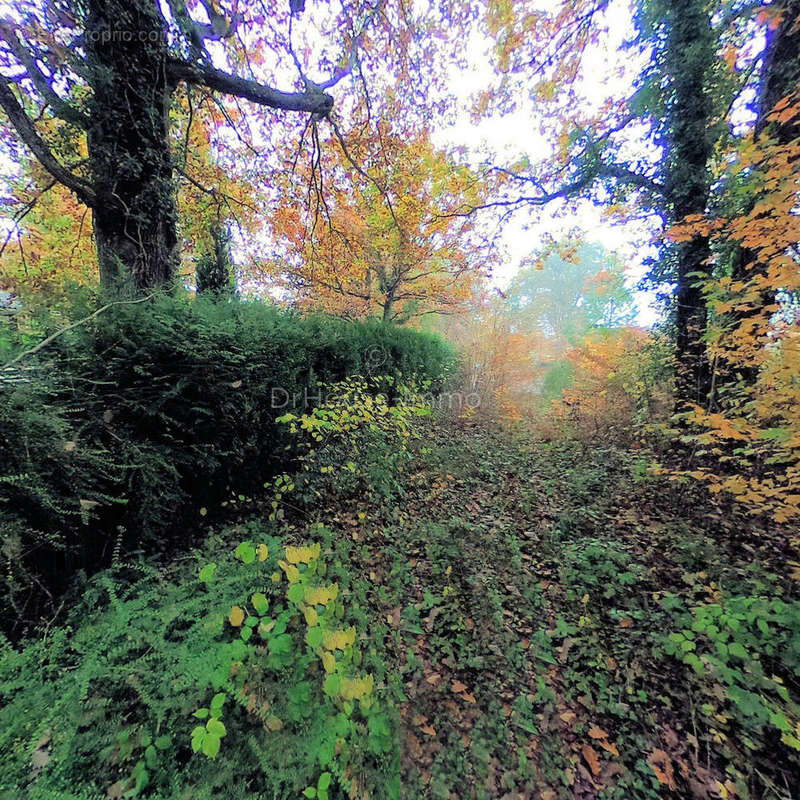 Terrain à CHILLEURS-AUX-BOIS