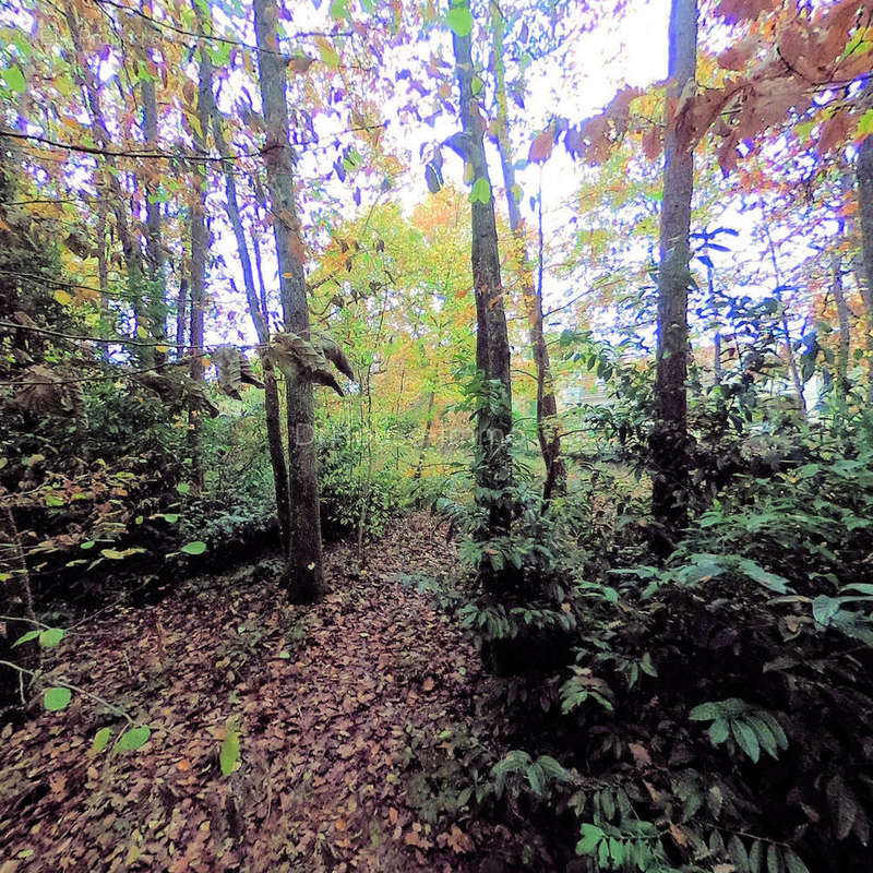 Terrain à CHILLEURS-AUX-BOIS