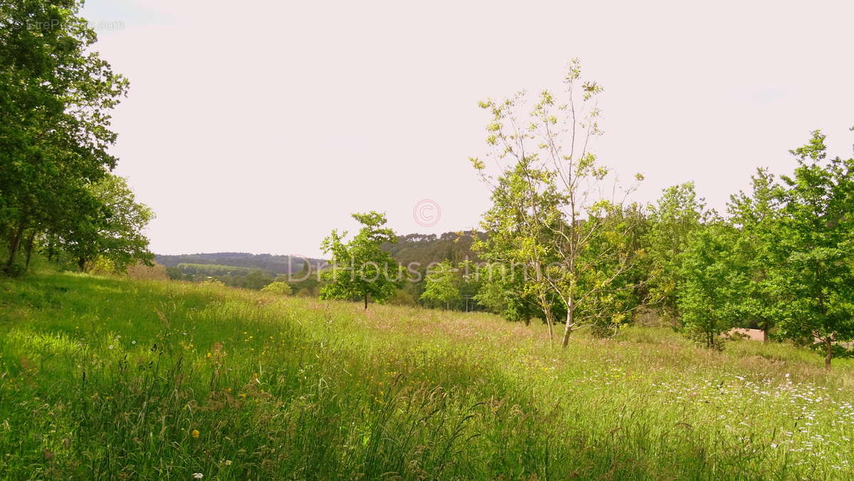 Terrain à VILLAMBLARD