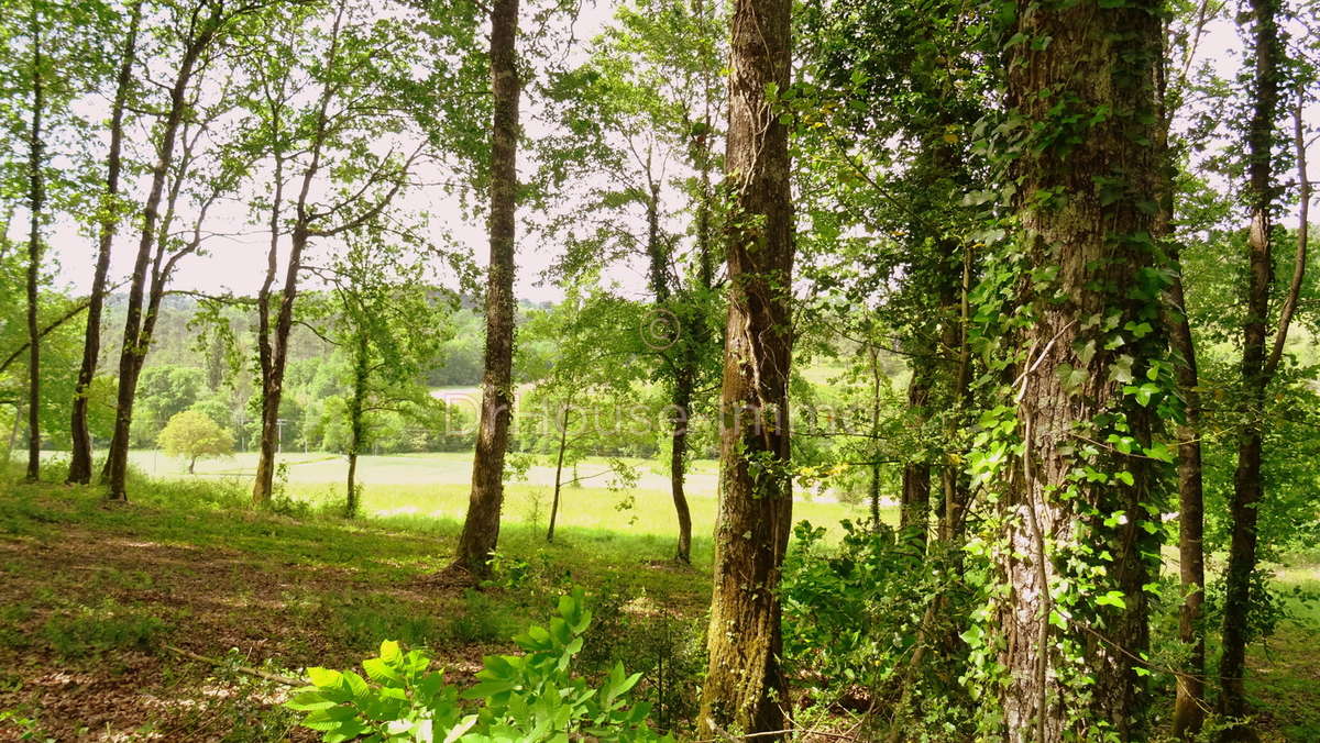 Terrain à VILLAMBLARD