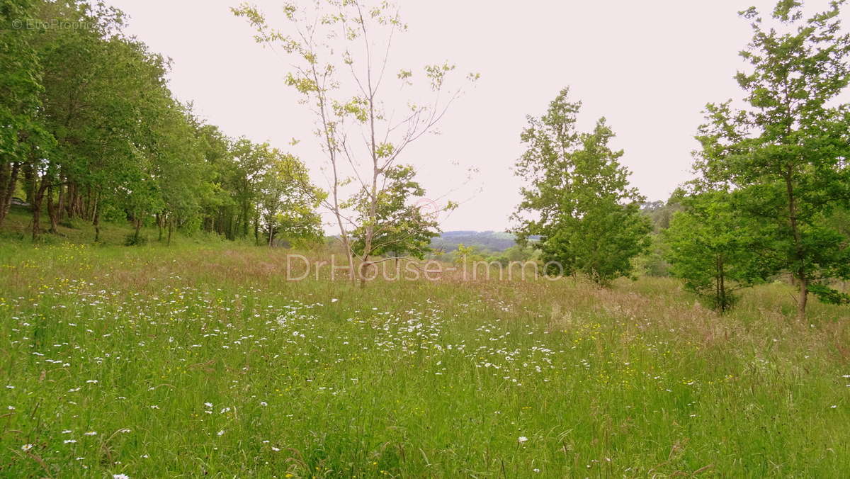 Terrain à VILLAMBLARD