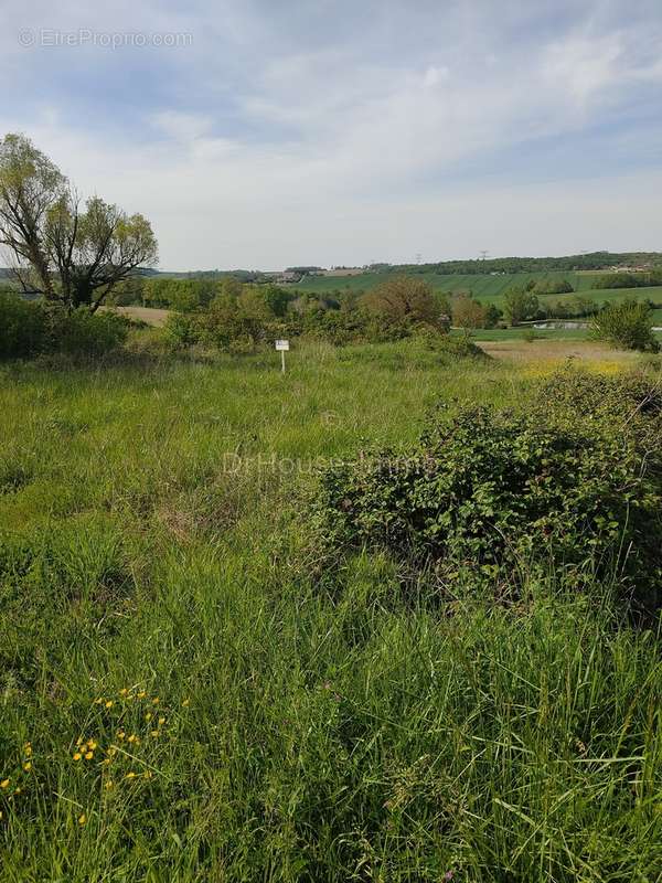 Terrain à LEVIGNAC-DE-GUYENNE