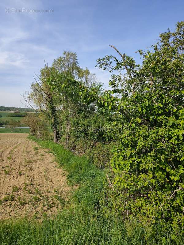 Terrain à LEVIGNAC-DE-GUYENNE