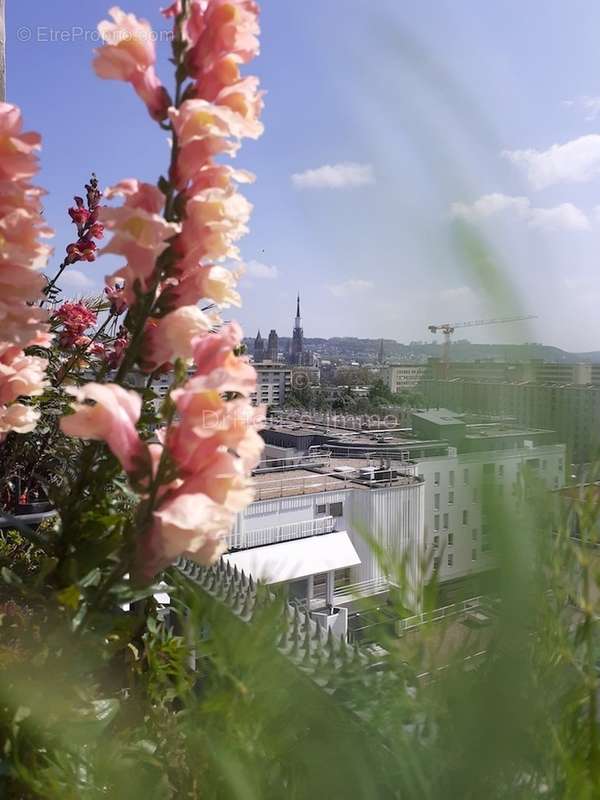 Appartement à ROUEN