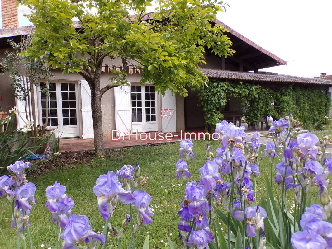 Maison à LAVAUR