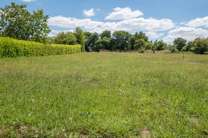 Terrain à PLOERMEL