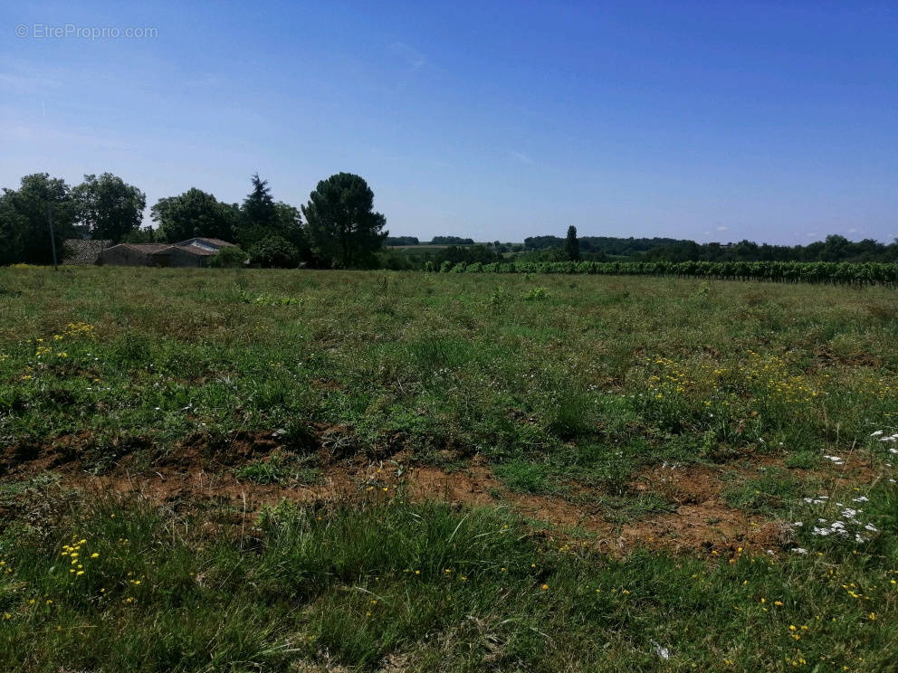 Terrain à DOULEZON