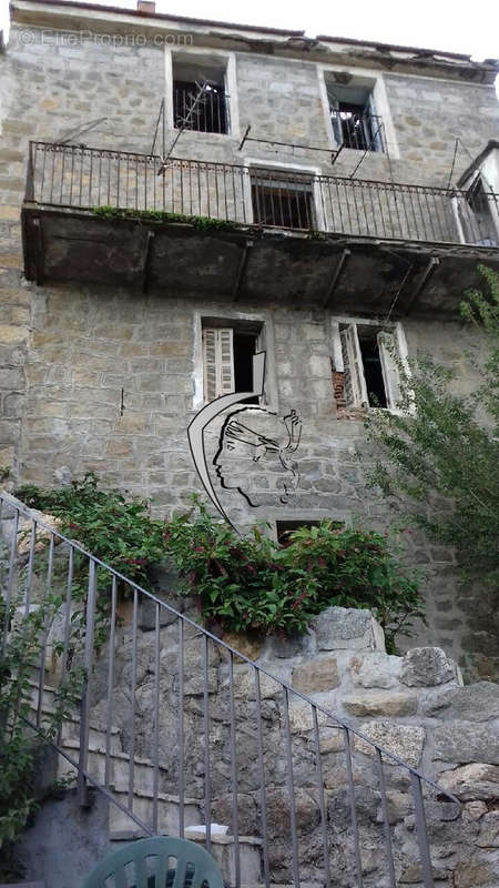 Maison à OLMETO