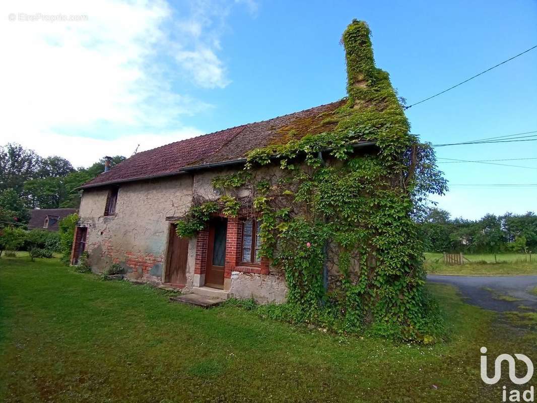 Photo 4 - Maison à BELLEVILLE-SUR-LOIRE